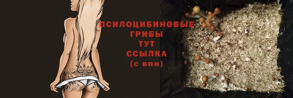марки nbome Каменногорск