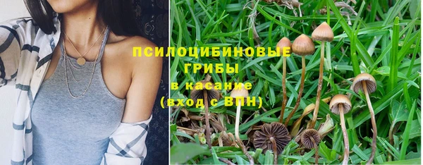 кокаин премиум Каменка