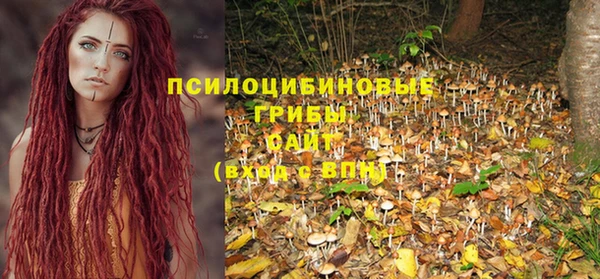 марки nbome Каменногорск