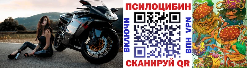 купить   блэк спрут ссылки  Галлюциногенные грибы прущие грибы  Чкаловск 